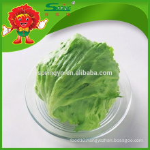 [Wholesale] Round Iceberg Lettuce romaine lettuce